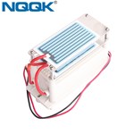 3.5g 7g 10g 20g 220VAC 110VAC One Chip Ozone