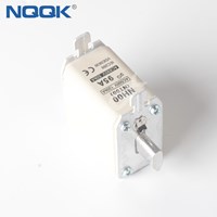 NT00 NH00 2A 80A 95A 160A 660V 690V HRC Low Voltage Fuse link